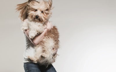 How to Help Your Dog De-Stress